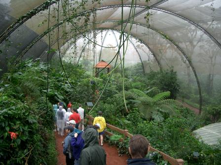 Check out the butterfly farm