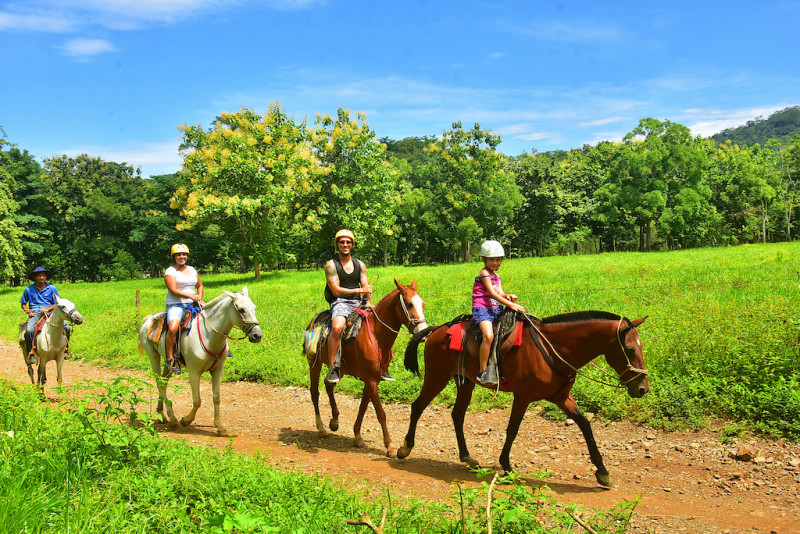 Two of Zip-line, ATV or Horseback to beaches and Surfing Tour