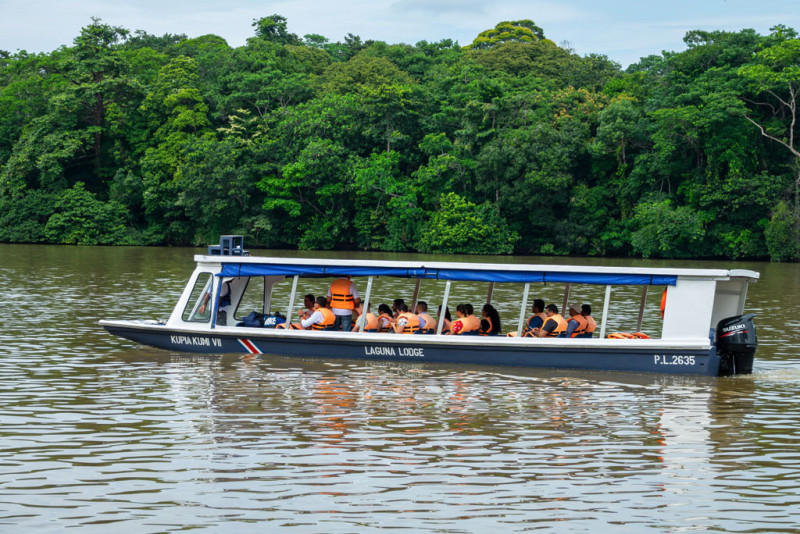 Guided transfer to Tortuguero