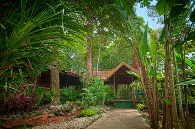Tortuguero - Pachira Lodge 3 days / 2 nights Package