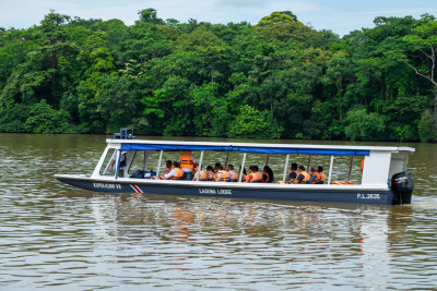 Guided transfer to Tortuguero