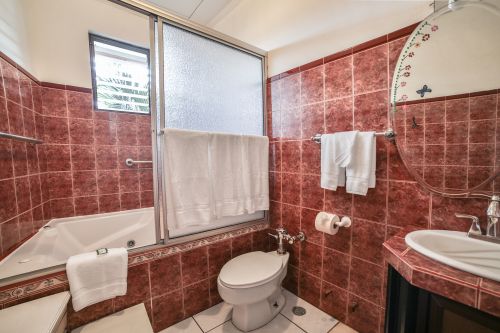 Jacuzzi Suite bathroom with private in-room hot tub.