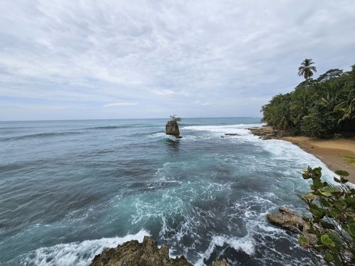 Puerto Viejo — choose your excursion (canopy, Cahuita snorkel, or chocolate tour)