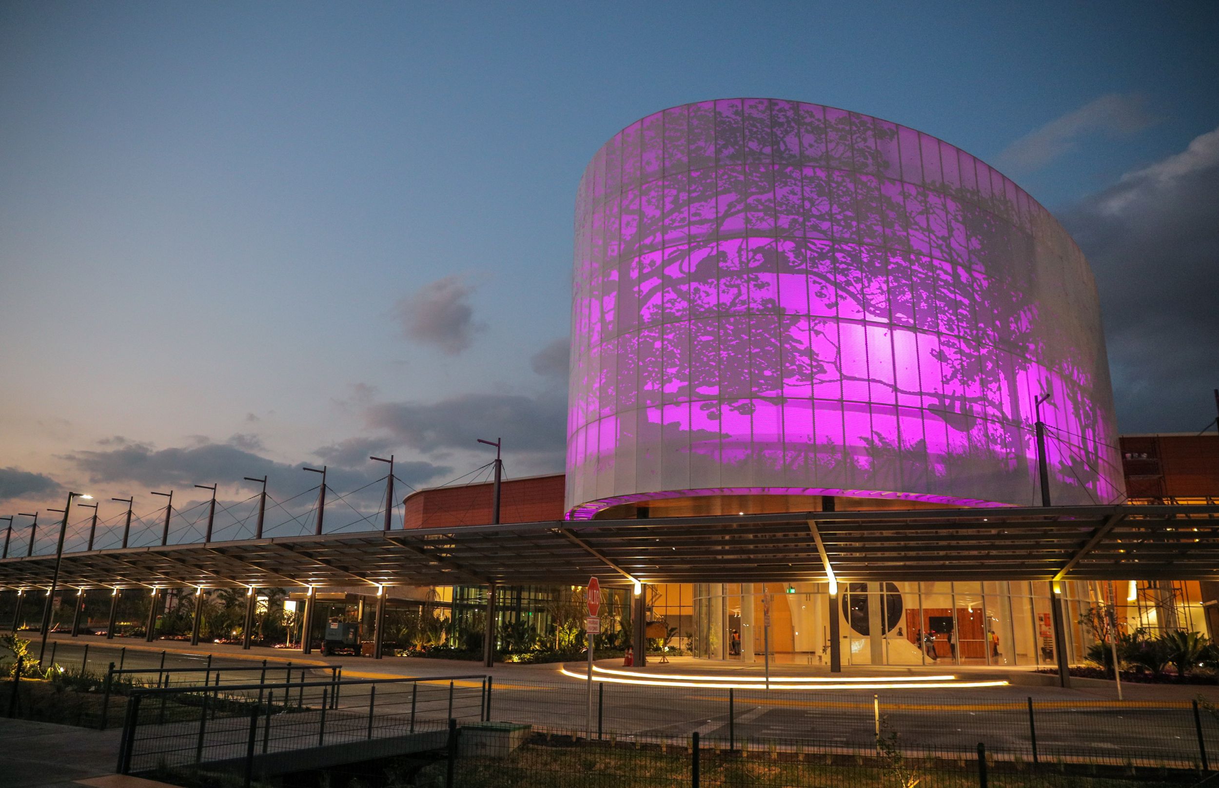 Illuminated entrance rotunda with the iconic Guanacaste tree silhouette at dusk.