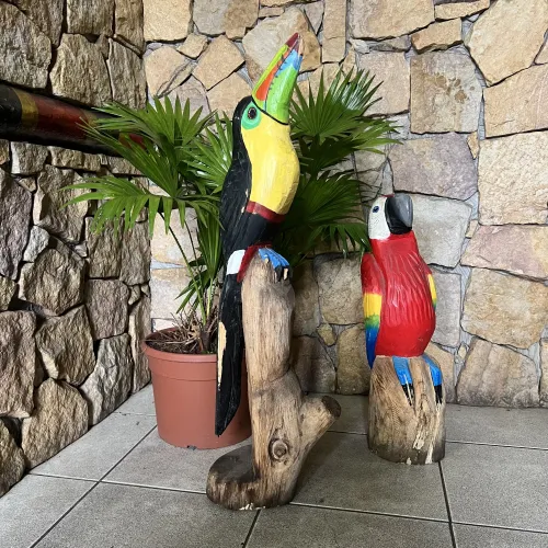 Colorful toucan and parrot décor in a common area.