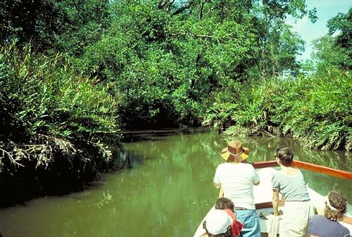 Relaxation & Nature vacation package in Costa Rica showcasing peaceful forest paths and Manuel Antonio beaches