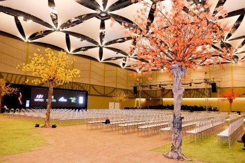 Plenary hall configured for an international conference with Costa Rica branding.
